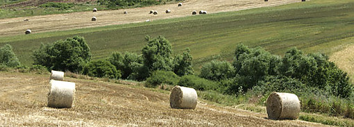 Agricoltura